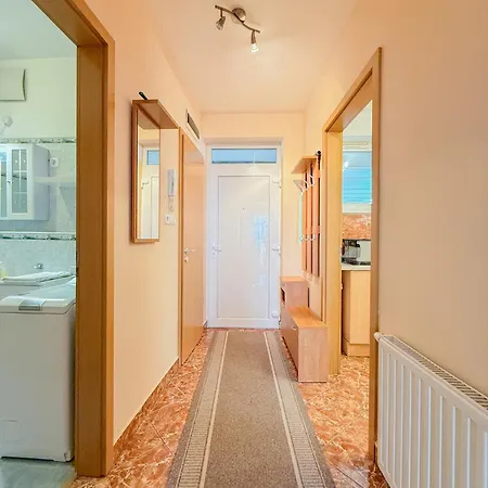 Silverbay * 希欧福克